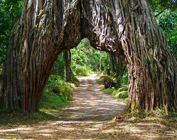 tanzania_tour_lake_chala